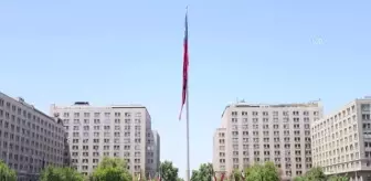 Mavi Vosvoslu Başkan 'Pepe', Şili'de