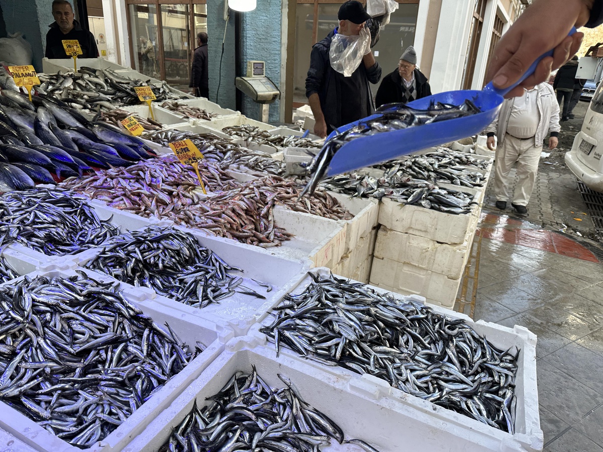 Samsun\'da hamsi 25-30 liradan satışa sunuluyor