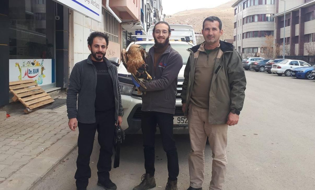 Bayburt ve Bingöl\'de yaralı bulunan kukumav ve şahin Erzurum\'da tedaviye alındı
