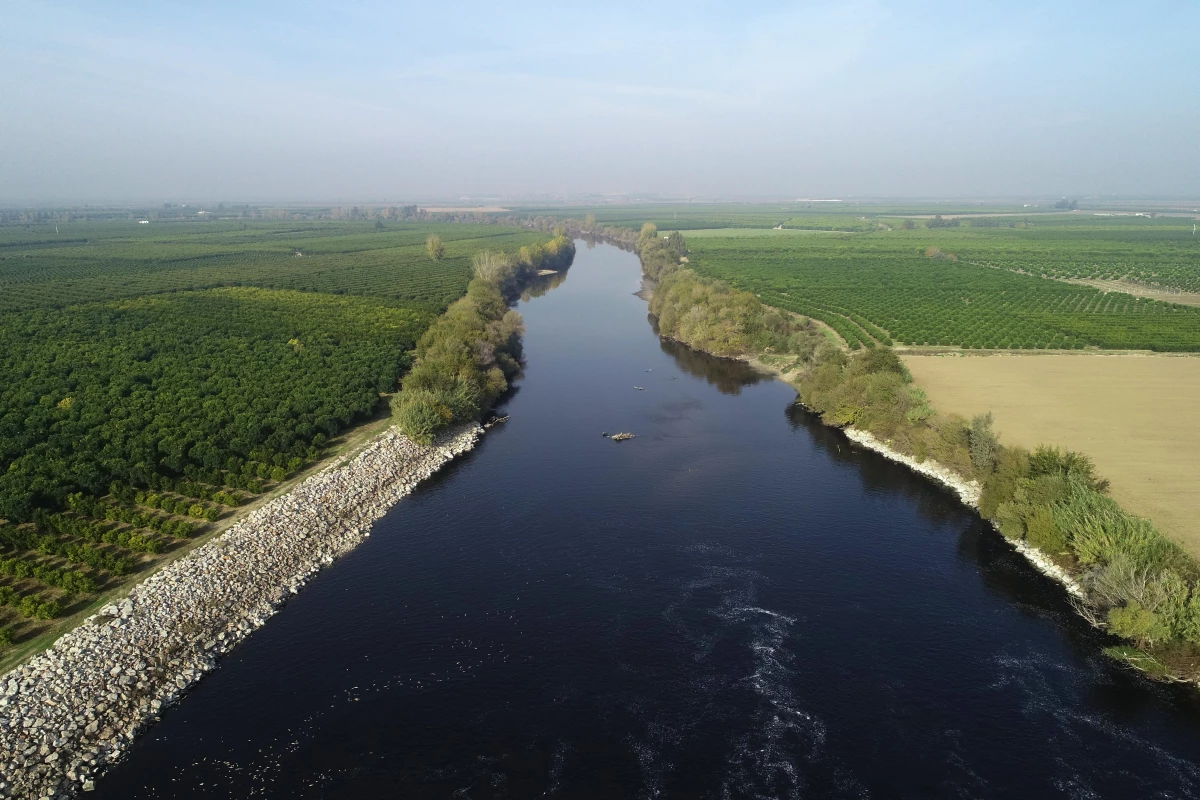 Ceyhan Nehri\'nde görülen balık ölümlerinin nedeni araştırılıyor
