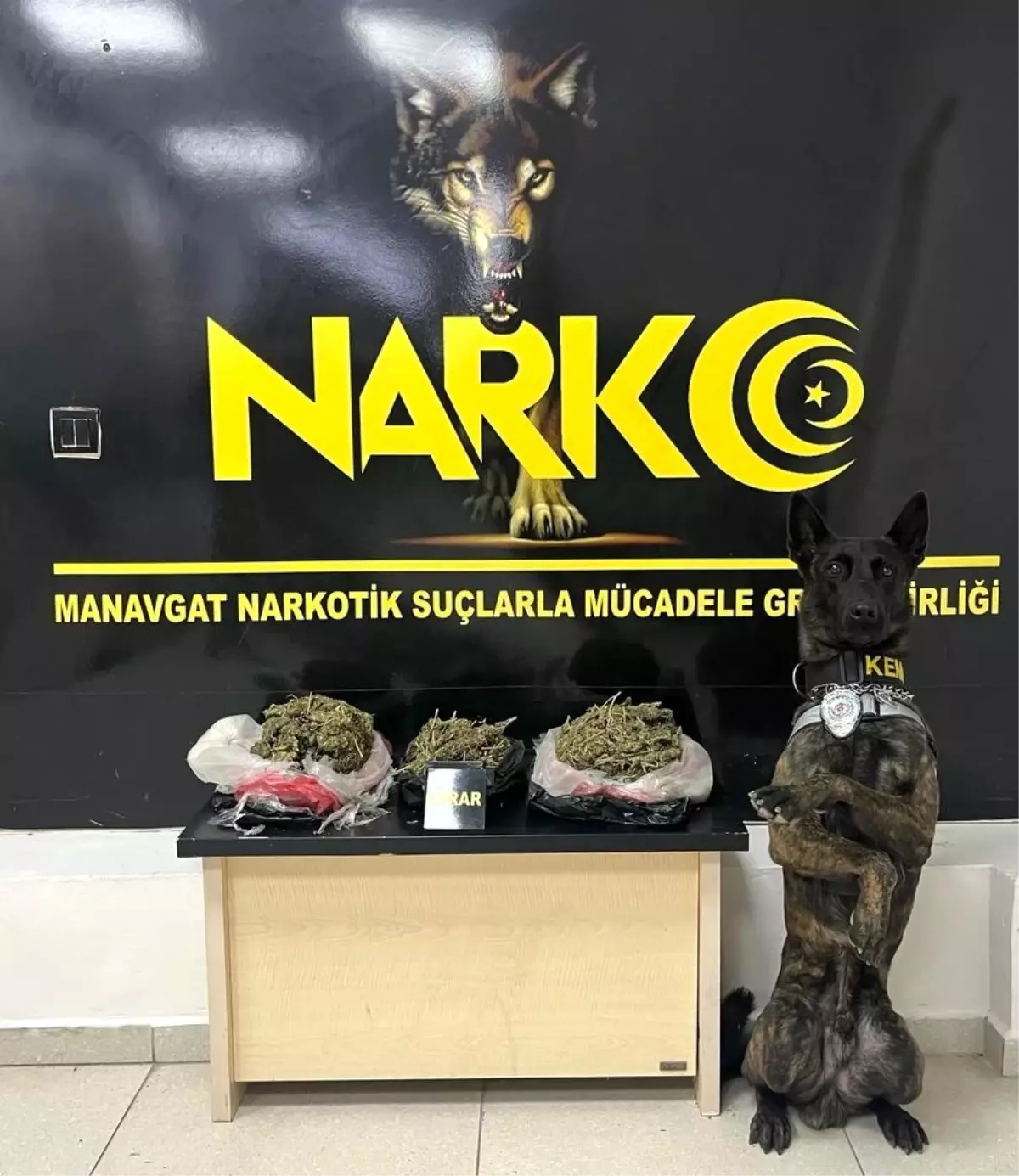 Narkotik köpek Pars\'tan uyuşturucuya geçit yok