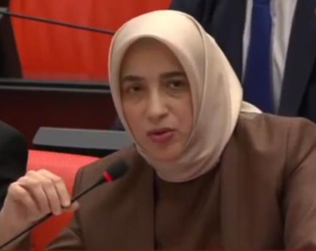 TBMM'yi karıştıran bütçe değil 6 yaşındaki kızın evlendirilmesi oldu! MHP'den çok konuşulacak 'idam' çıkışı