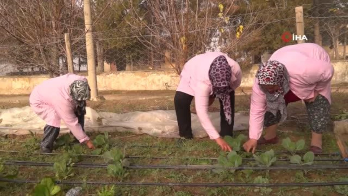 Ata tohumundan sofralara... Köy Yaşam Merkezi üretici kadınların gelir kapısı oldu