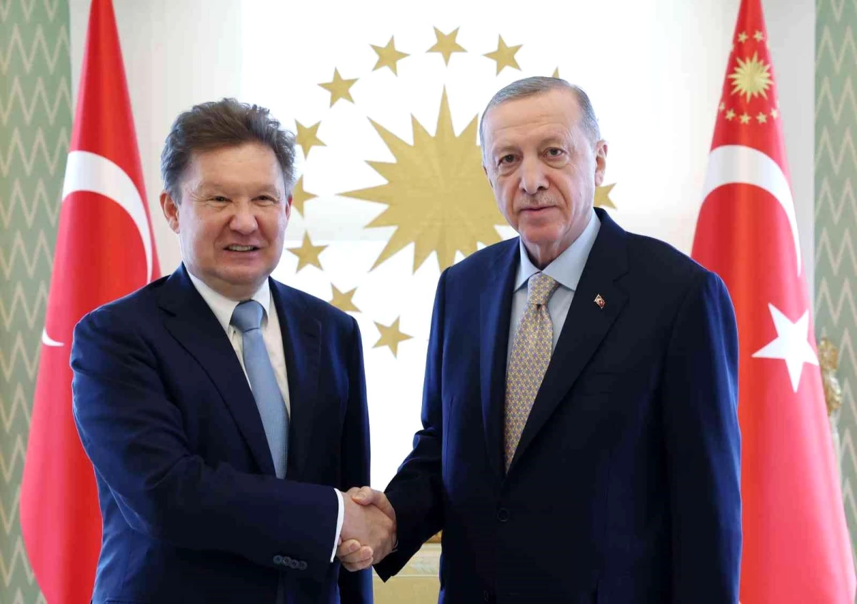 Cumhurbaşkanı Erdoğan, Gazprom Başkanı Miller\'ı kabul etti