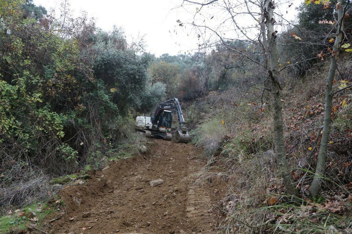 Efeler Belediyesi Ekipleri Kozalaklı Zeytinlik Yolunu Açtı