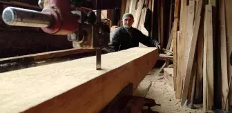 İlerlemiş yaşına rağmen 500 kiloluk tomruklarla dans ediyor