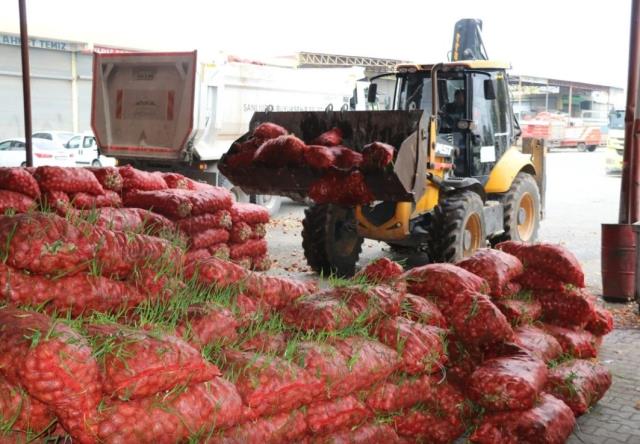 Şanlıurfa'da denetimlerde ele geçirilen 22 ton çürümüş soğan imha edildi Şanlıurfa'da denetimlerde ele geçirilen 22 ton çürümüş soğan imha edildi