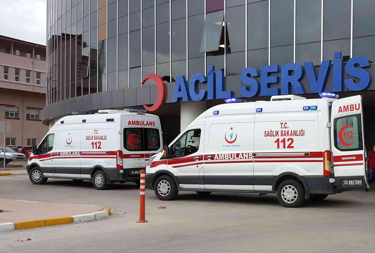 Erzincan\'da trafik kazası: 7 yaralı