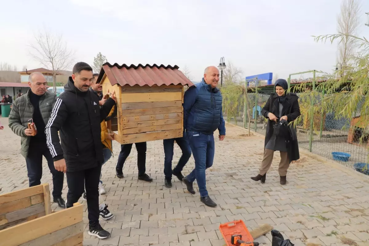 Kırıkkale\'de hayvanseverler sahipsiz hayvanlara kulübe yaptı