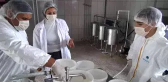 Öğrenciler bu okulda inek sağıp doğal yoğurt üretiyor