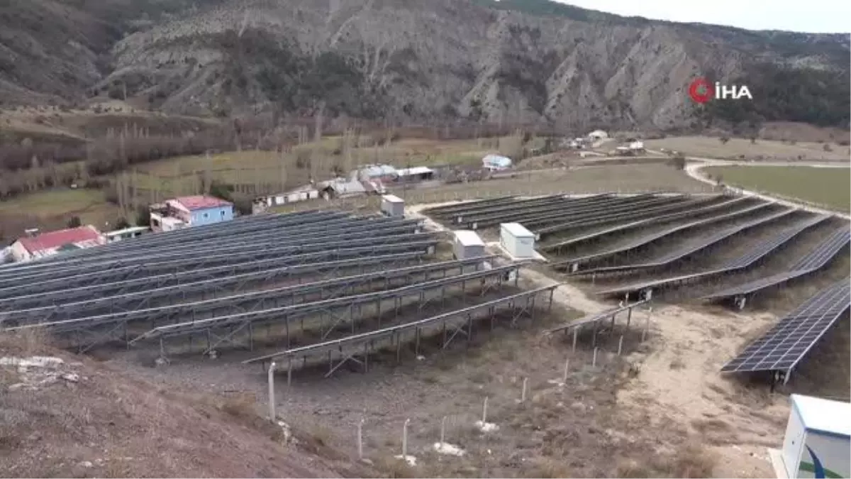 Tarlasında güneş topluyor... Kurdukları paneller ile Doğu Karadeniz\'in en büyük tesislerinden oldular