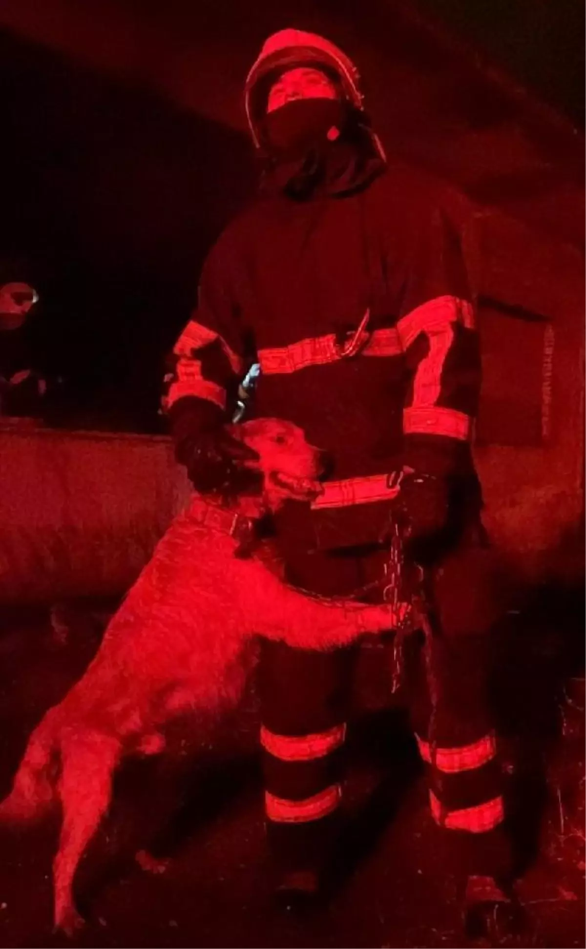 Yanan evdeki köpeği itfaiyeciler kurtardı