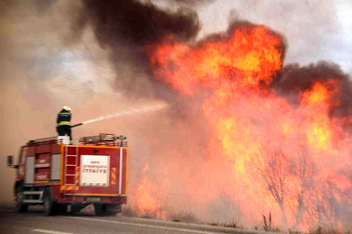 Beyşehir Gölü kıyısında sazlık alanda çıkan yangın kontrol altına alındı