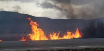 Beyşehir Gölü'nde sazlık yangını