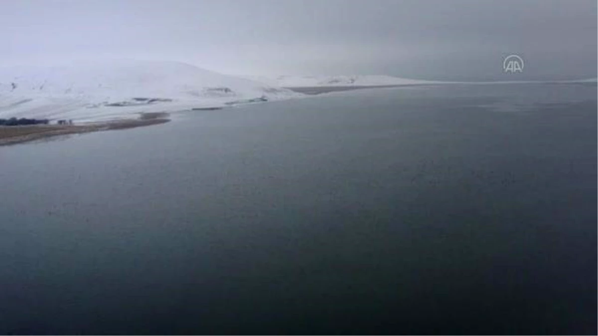 Çıldır Gölü\'nün donmasını bekleyen atlı kızakçılar, karlı arazilere çıktı