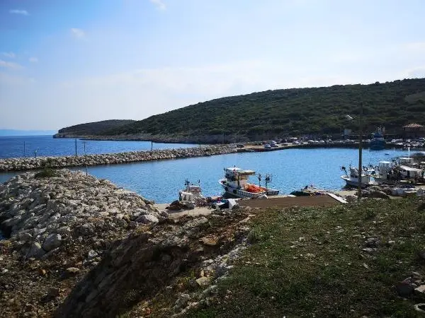 Denizin ortasında feci olay! Yasak olduğu halde yine de kullanmak istedi, sağ eli bileğinden koptu