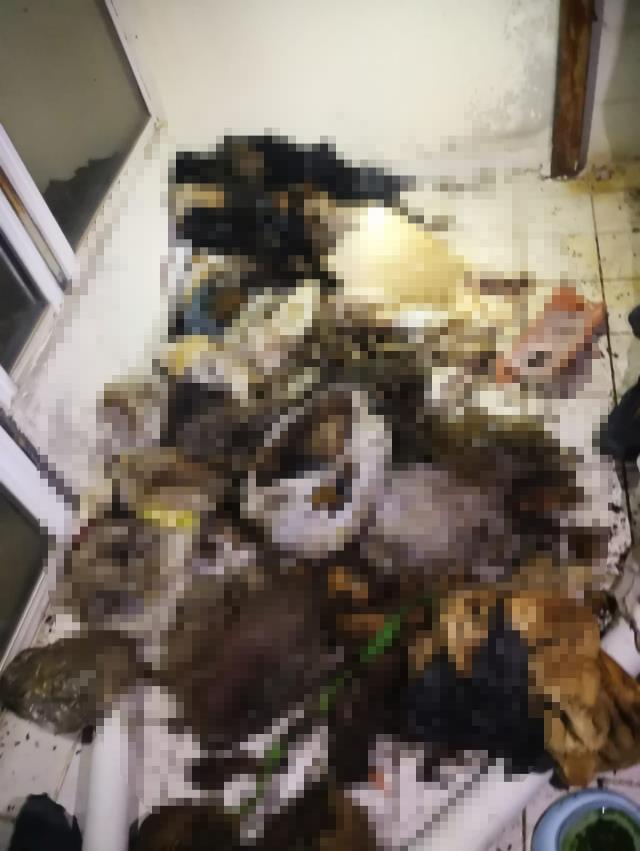 Gizemli evden gelen ihbara giden yetkililer, içeri girdiklerinde korkunç bir manzarayla karşılaştı