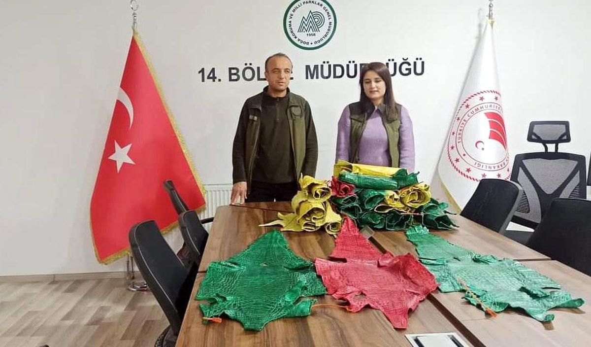 Hakkari\'de 21 adet timsah derisi ele geçirildi