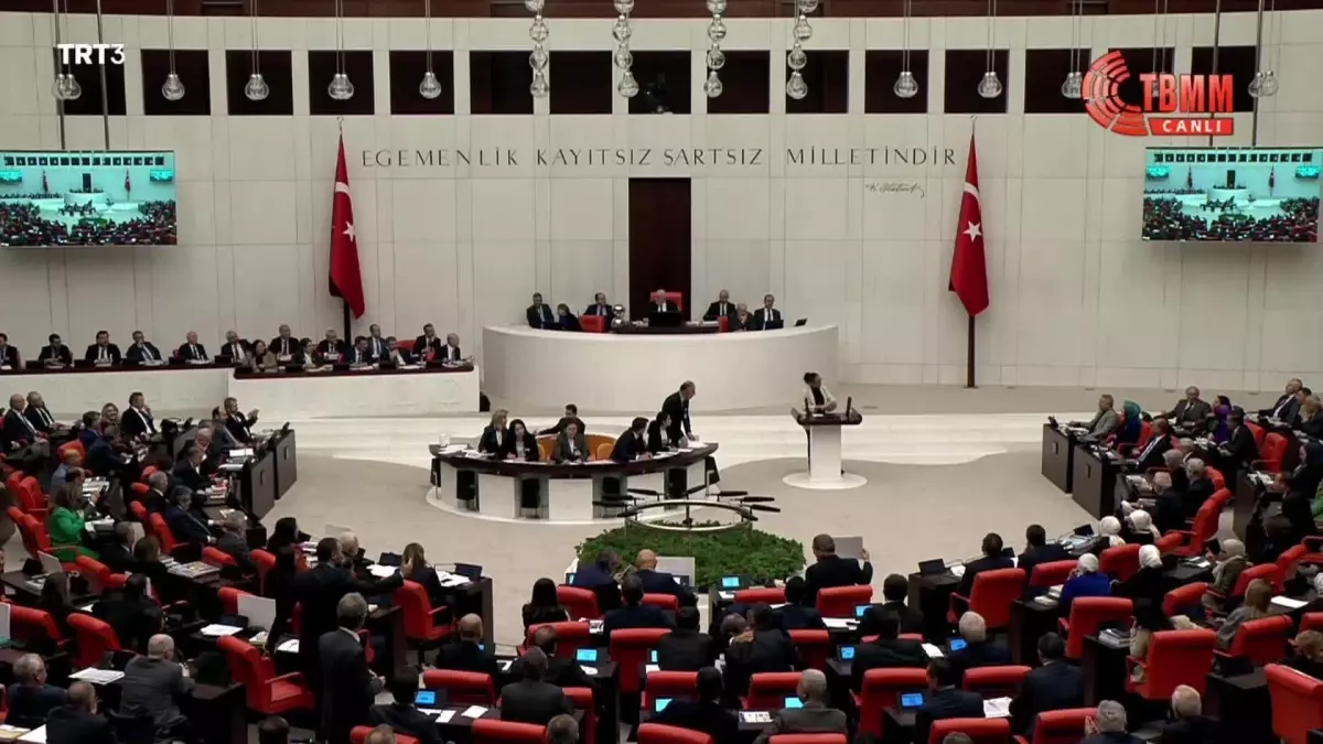 Sera Kadıgil\'den Bakan Soylu\'ya: "Süleyman, Ben Cinsiyetsiz Değilim; Her 25 Kasım\'da, 8 Mart\'ta Tir Tir Titreyerek Yasaklamaya Çalıştığın Kadınlardan...