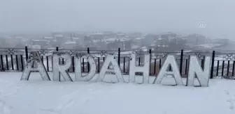 Ardahan'da kar yağışı etkili oldu (2)
