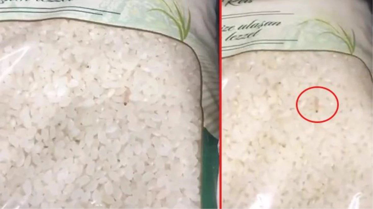 Zincir markette mide bulandıran görüntü! Pirinç paketindeki kurtçukları vatandaş fark etti