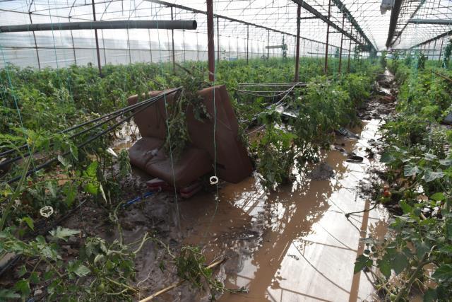 İçişleri Bakanı Soylu, Antalya'daki selin bilançosunu açıkladı: 100 konut, 497 araç ve 12 bin 500 dönüm sera hasar gördü