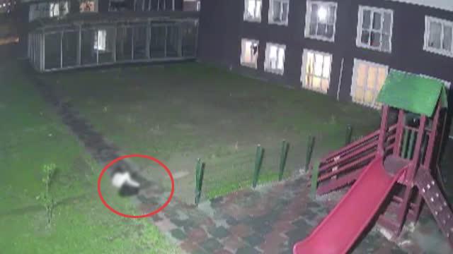 İranlı kadın 10'uncu kattan düşerek feci şekilde can verdi! Korkunç olay saniye saniye kamerada İranlı kadın 10'uncu kattan düşerek feci şekilde can verdi! Korkunç olay saniye saniye kamerada