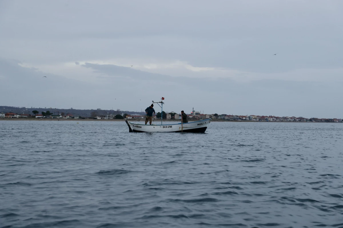 Karadeniz\'in sahil köyünde geleneksel balıkçılıkla geçim mücadelesi