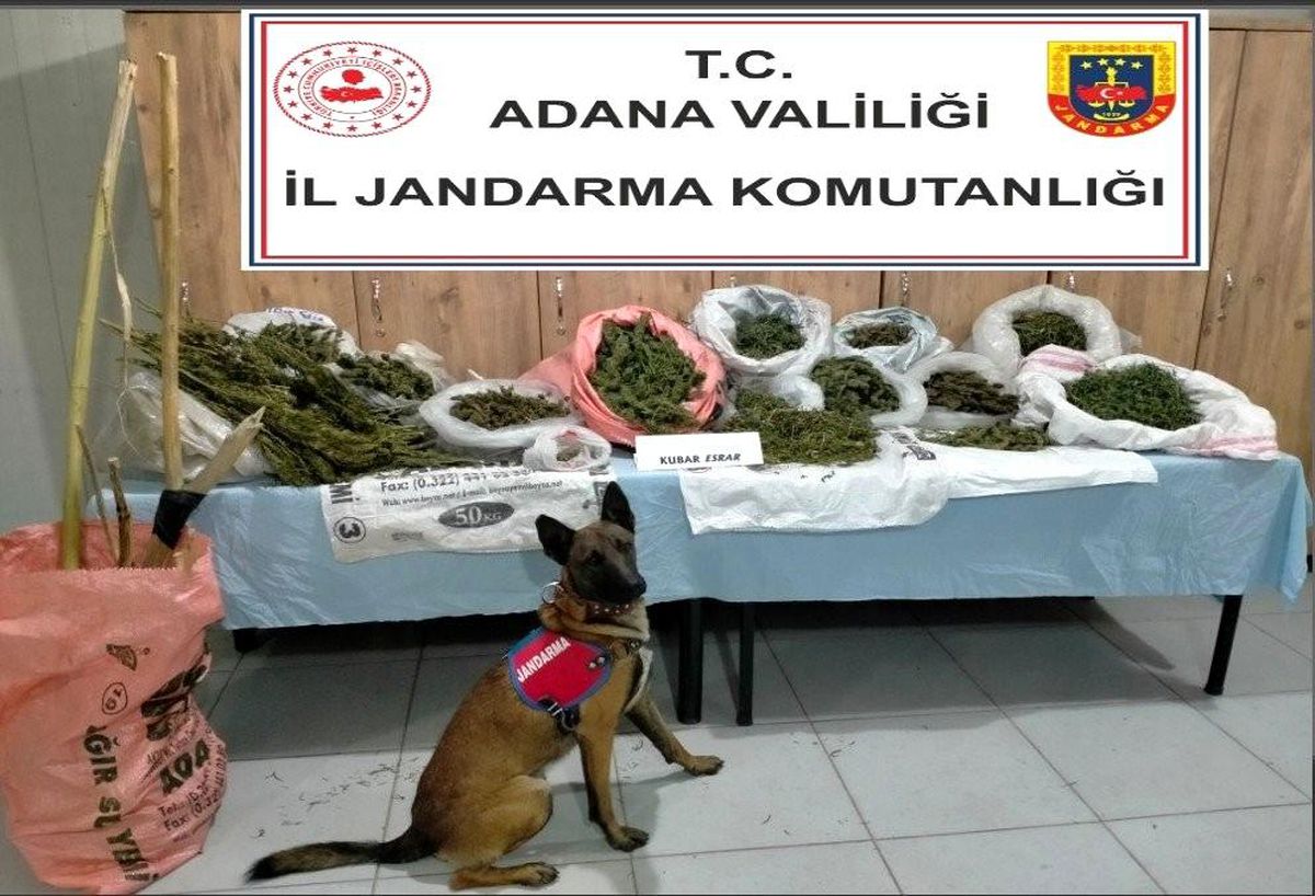 Adana\'da 14 kilo 600 gram esrar ele geçirildi