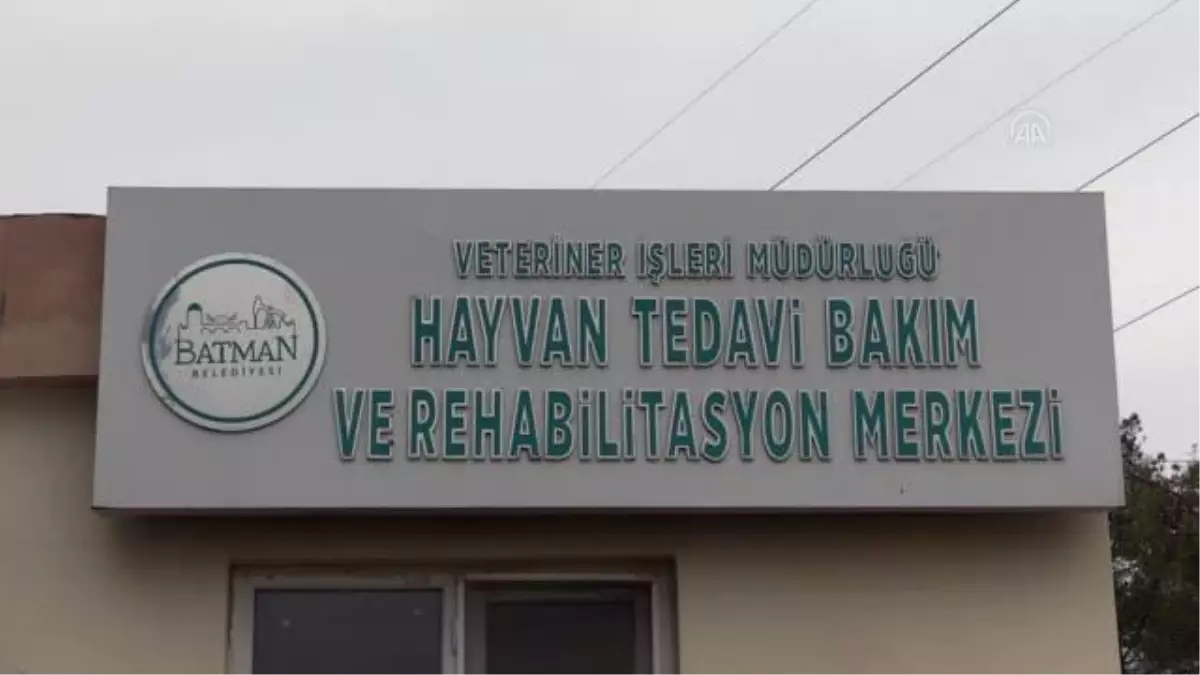 Batman Valisi Canalp, inşası süren Hayvan Tedavi, Bakım ve Rehabilitasyon Merkezini inceledi
