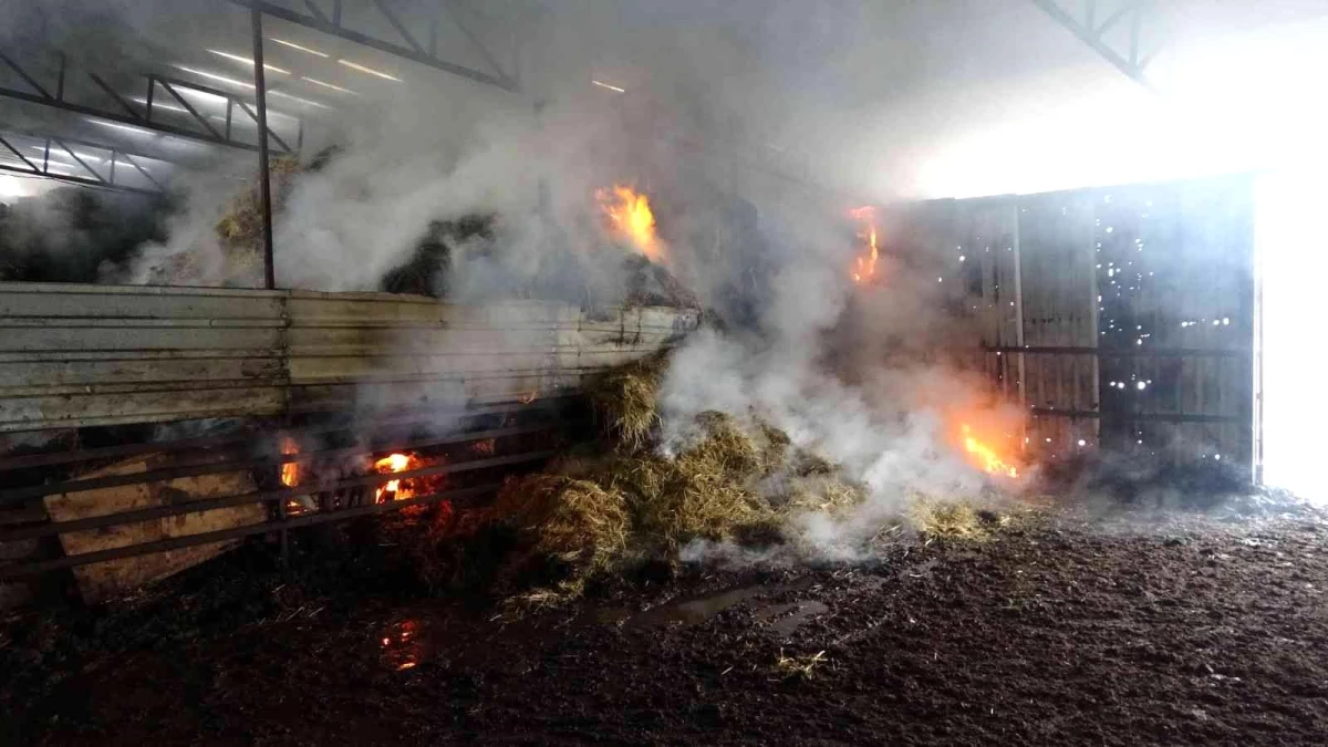Besihanede çıkan yangında binlerce saman balyası yandı, hiç kullanılmayan son model traktör küle döndü