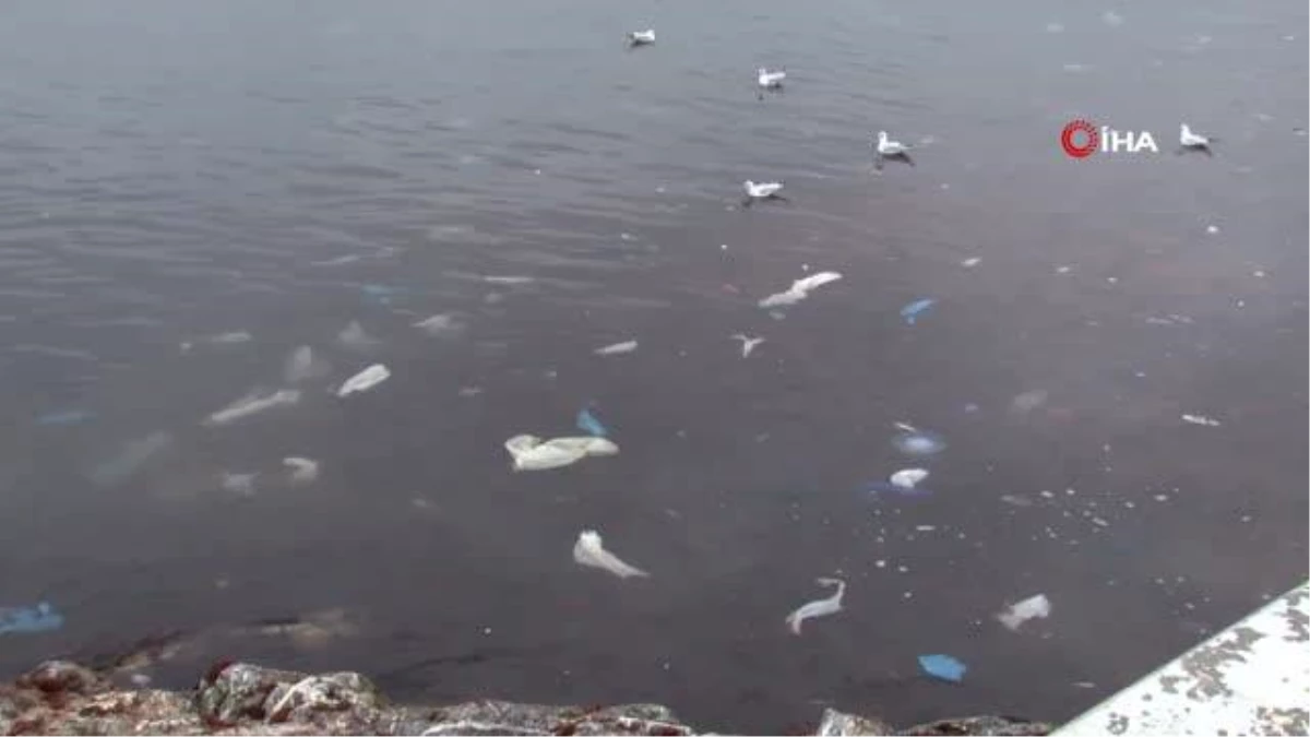 Kadıköy\'ü lodos vurdu, Caddebostan sahilini plastik atıklar kapladı