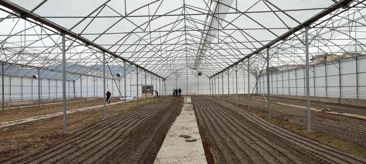 Osmaneli\'nde "Sera Tesisi" projesi tamamlandı