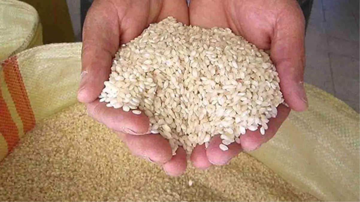 Resmi Gazete\'de yayımlandı: Pirinç ithalatında gümrük vergisi 31 Ağustos 2023 tarihine kadar sıfırlandı