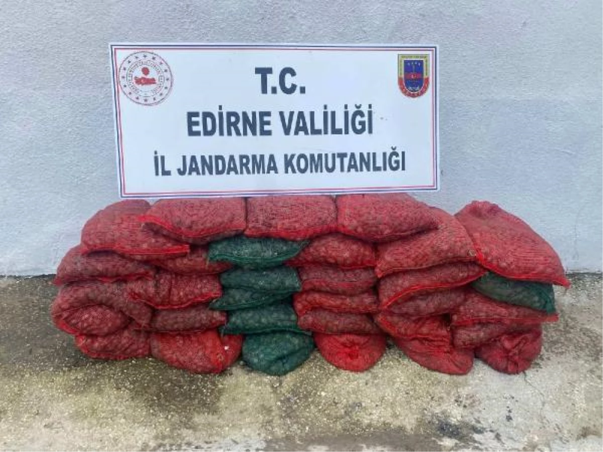 1 ton kaçak midye ile yakalanan 2 kişiye 148 bin lira ceza