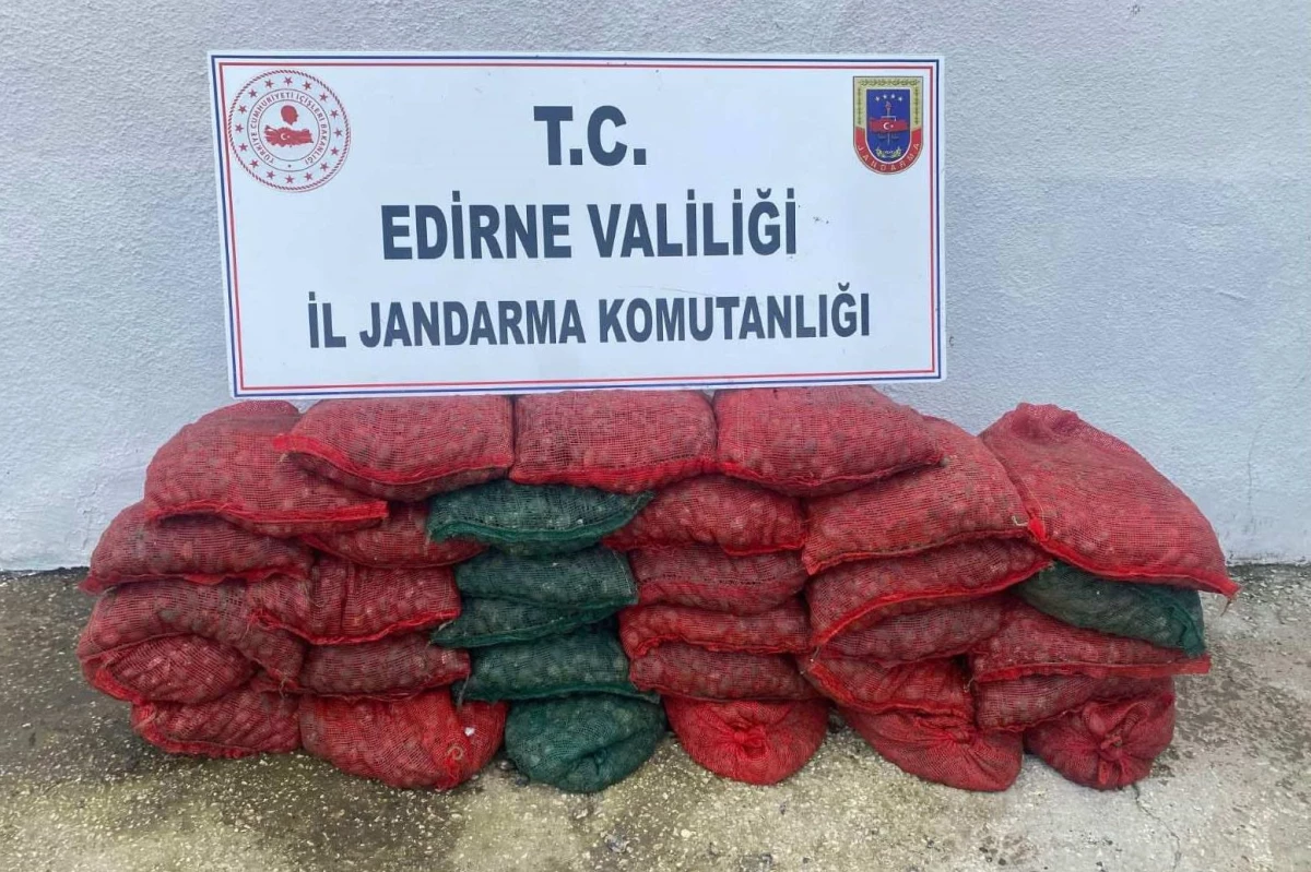 Edirne\'de 1 ton kum midyesi ile yakalanan 2 kişiye 297 bin lira ceza