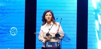 Ekolig raporu açıklandı