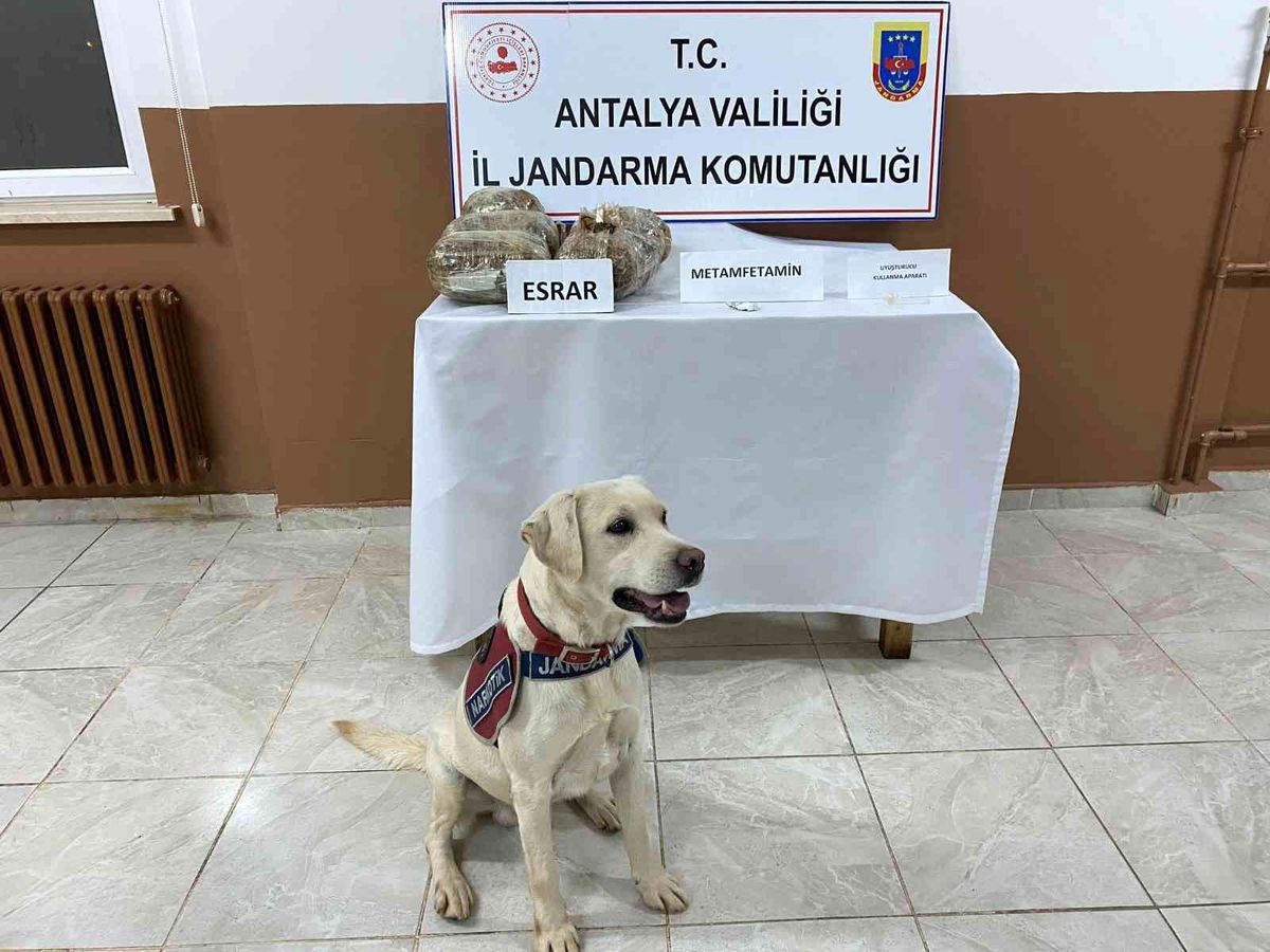 Uyuşturucu taciri, hassas burun Elyaf\'a takıldı