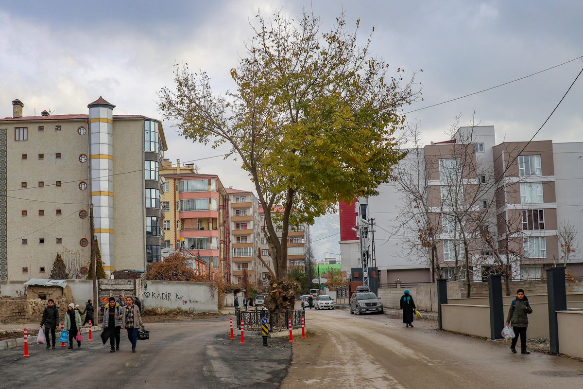 Van\'da genişletilen yolun ortasında kalan dut ağacına dokunulmadı