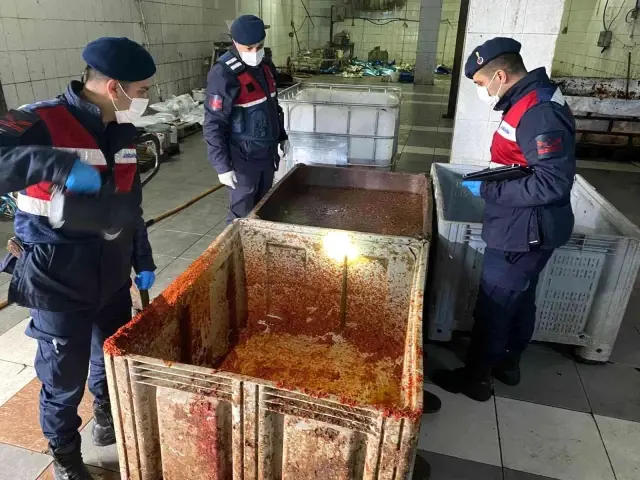 İğrenç salçacılar! Milyonlarca insana yedirmeye hazırlandıkları ürün ekipleri bile şok etti