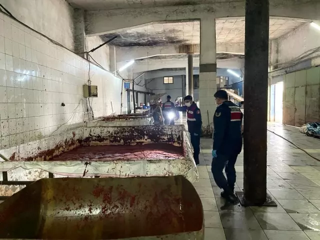 İğrenç salçacılar! Milyonlarca insana yedirmeye hazırlandıkları ürün ekipleri bile şok etti