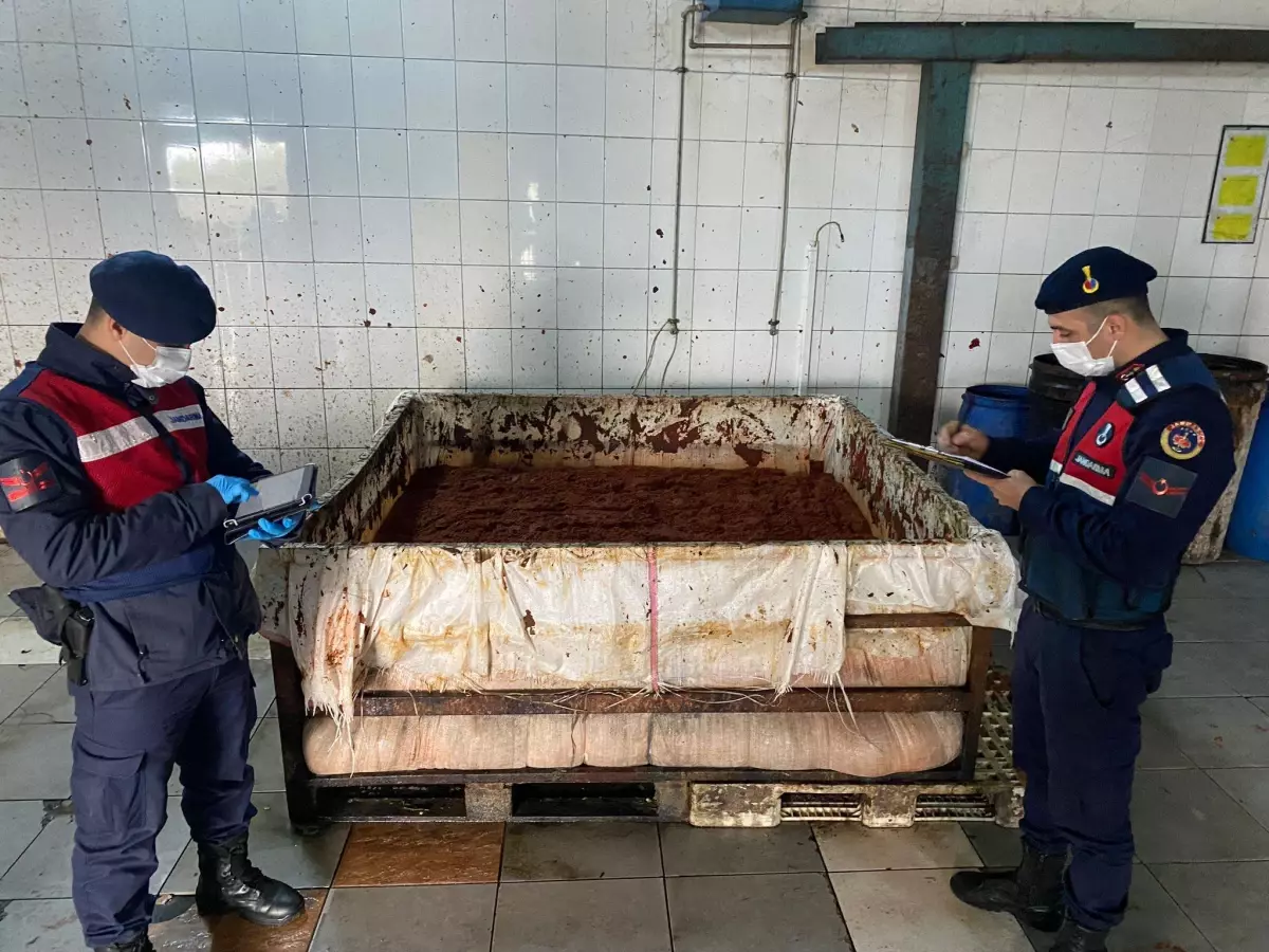 İzmir\'de kaçak salça üretimi yapılan çiftlik mühürlendi