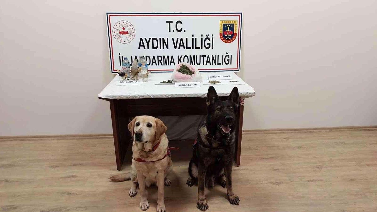 Koçarlı\'da uyuşturucu satıcılarına operasyon