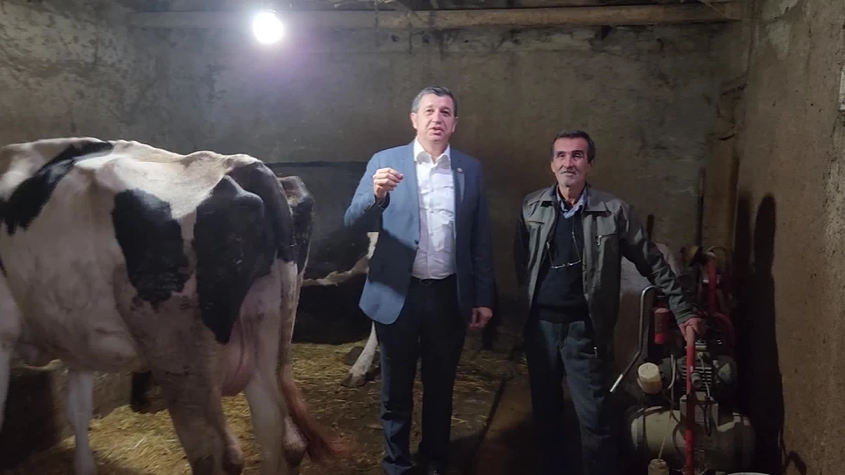 Okan Gaytancıoğlu: "Süt Üretimi Yüzde 15 Azaldığına Göre Her 6 İnekten Biri Kesildi"