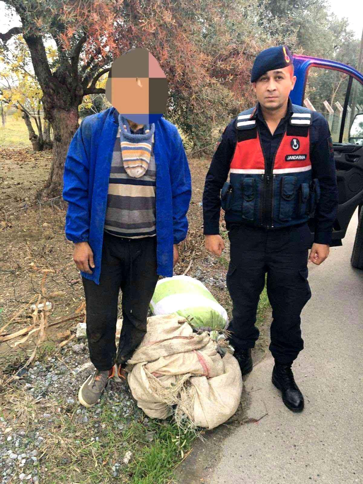 Zeytin hırsızı suçüstü yakalandı