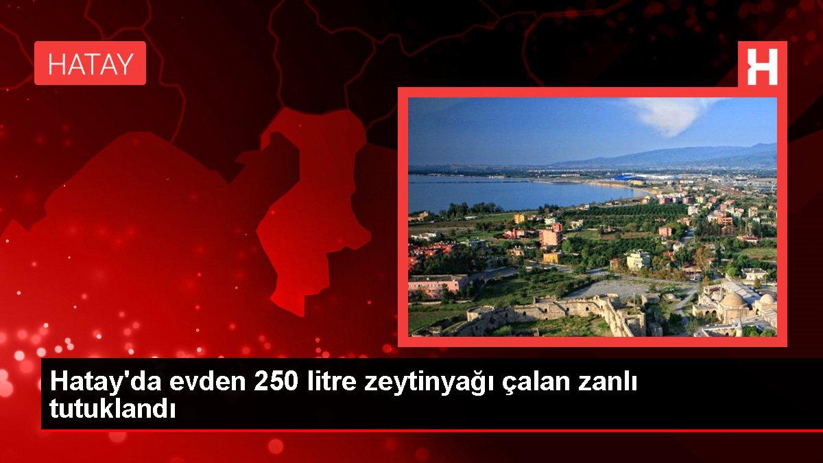 Hatay'da evden 250 litre zeytinyağı çalan zanlı tutuklandı