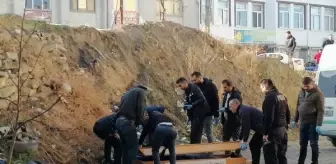 Yol kenarında ölü bulundu