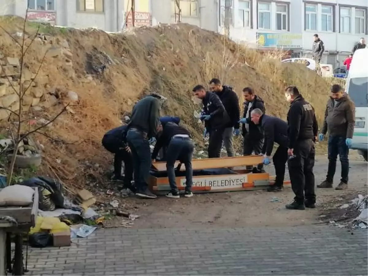 Yol kenarında ölü bulundu