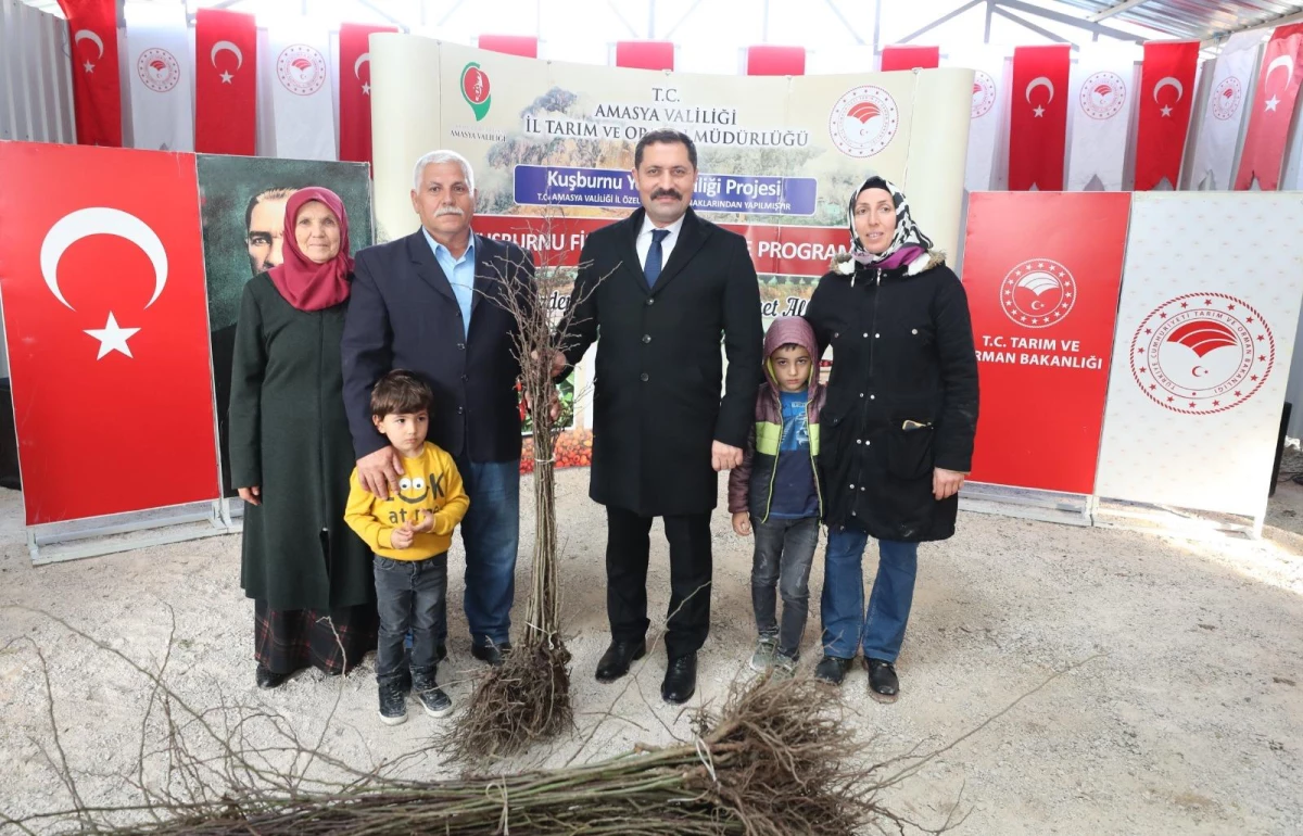 Amasya\'da çiftçilere 12 bin 500 kuşburnu fidanı dağıtıldı