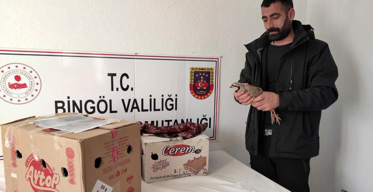 Bingöl\'de yasak şekilde avlanan 13 adet kınalı keklik ele geçirildi